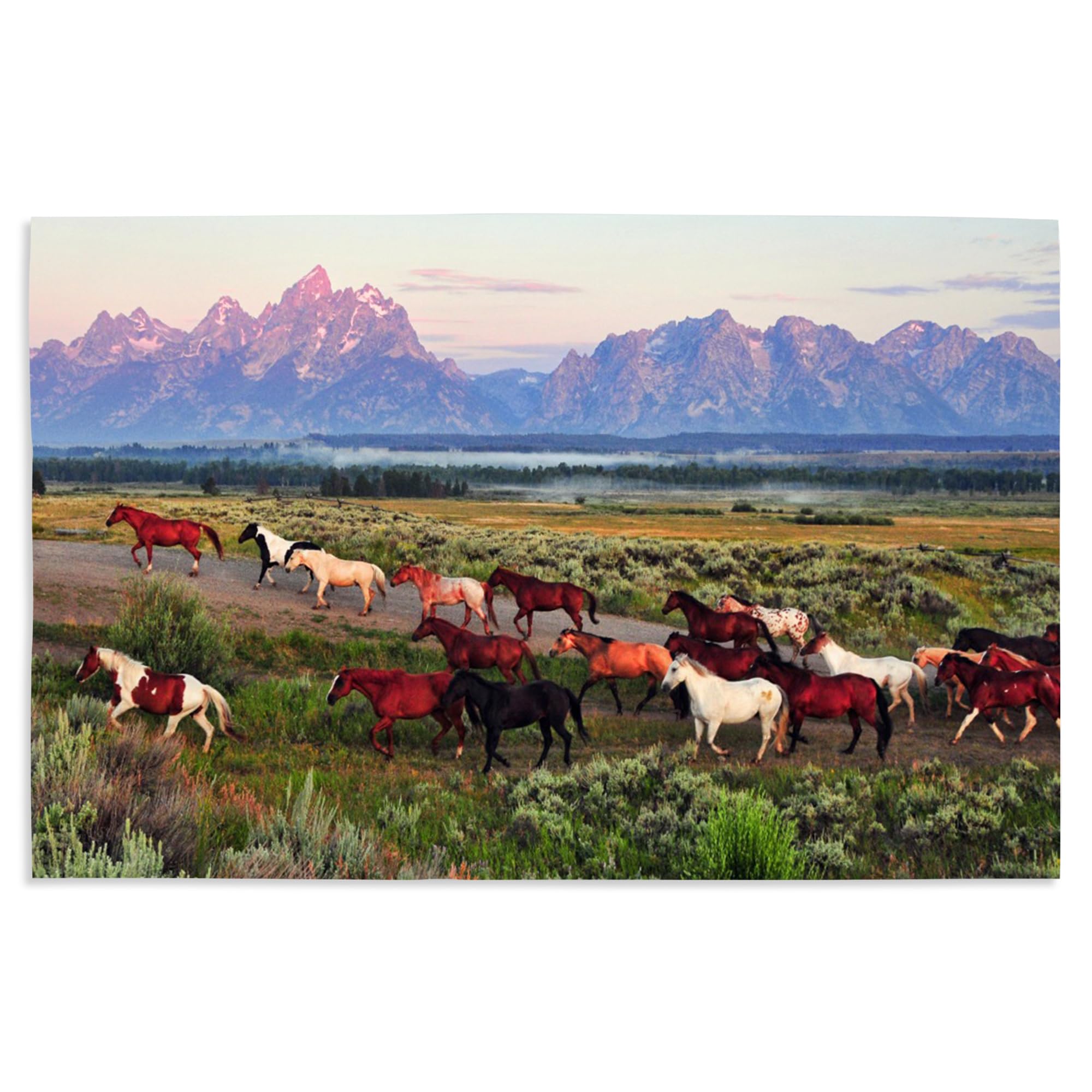 Lantern Press 16x24 Inch Giclee Art Print - Wild Horses and Sunrise Landscape Wall Decor - Perfect for Living Room, Bedroom & Office