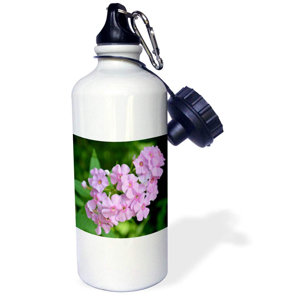 3dRose Phlox Flowers Pink Floral Design Sports Water Bottle - 21 oz White Insulated Bottle for Gym, Hiking & Outdoor Activities