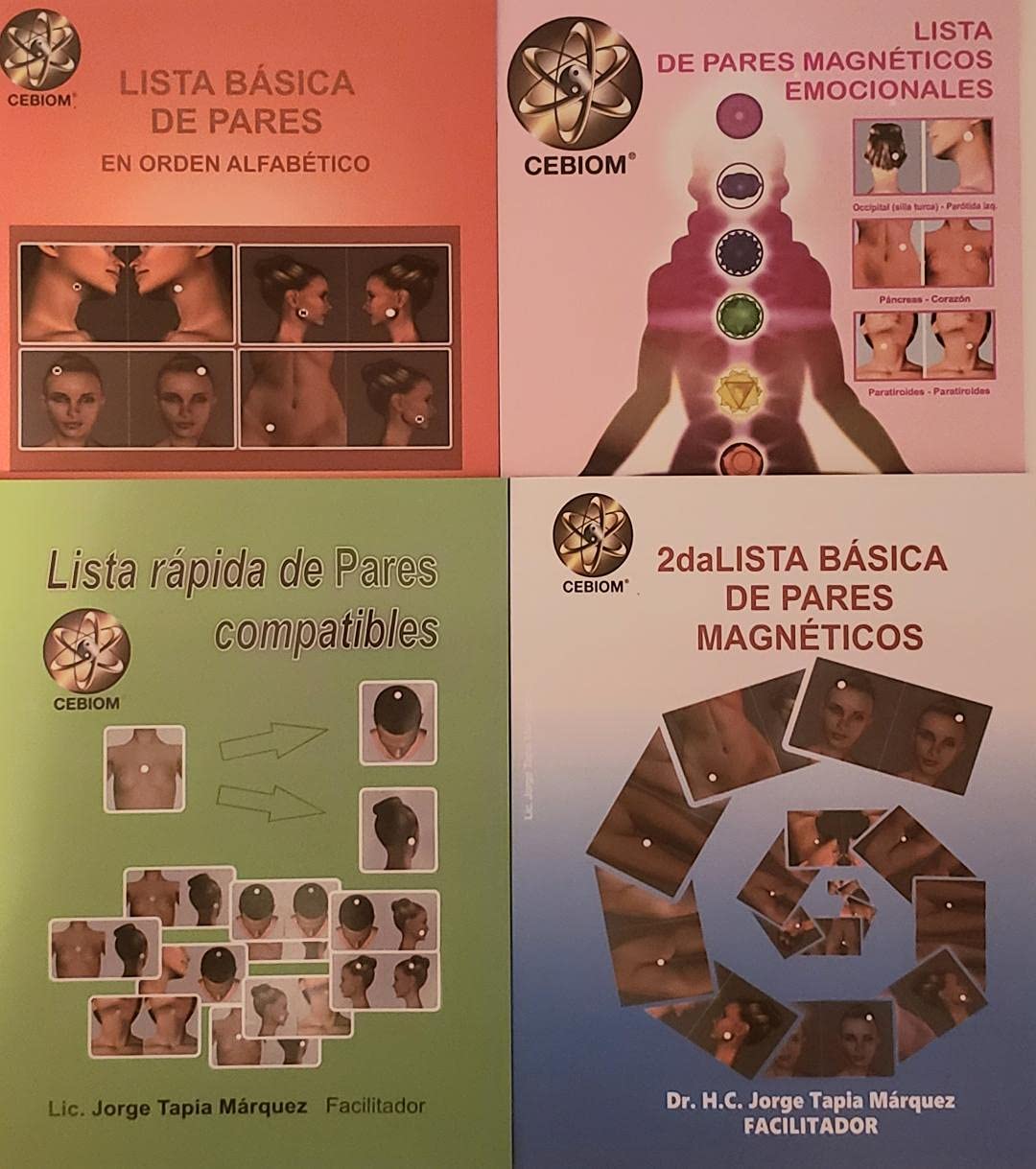 Biomagnetic Therapy Ferrite Magnets & Books for Pain Relief, Wellness, and Holistic Healing - Perfect for Home Use, Therapy Sessions, and Self-Care Routines