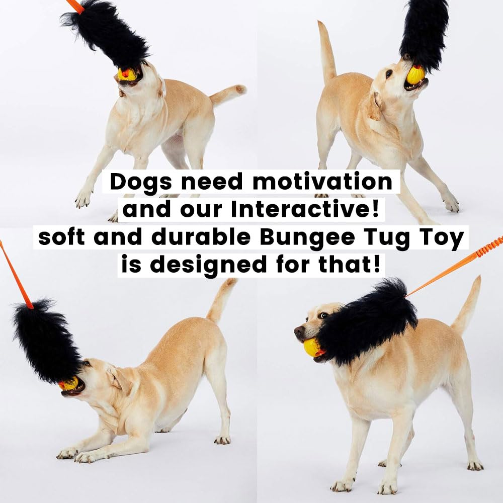 HOWGO Dog Rope Toy - 100% Natural Sheepskin Chew Toy with Authentic Sheep Smell, Durable Bungee Chaser Tug Toy for Small Medium Large Dogs (Black with Ball) - Perfect for Fetch, Training, and Teeth Cleaning Playtime
