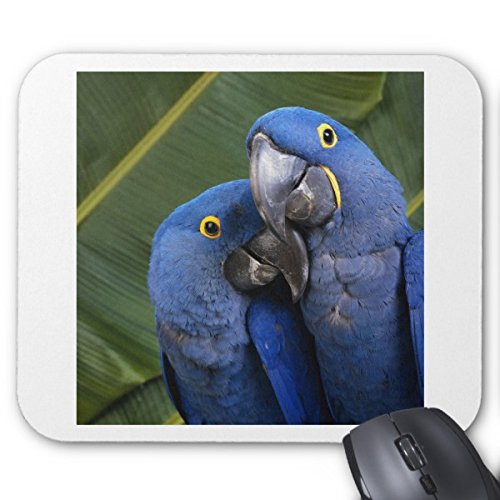 Julyou Large Gaming Mouse Pad with Blue Parrots Design - Non-Slip Rubber Base, Smooth Surface for PC, Laptop, Office & Home Use