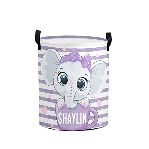 Baby elephant 04