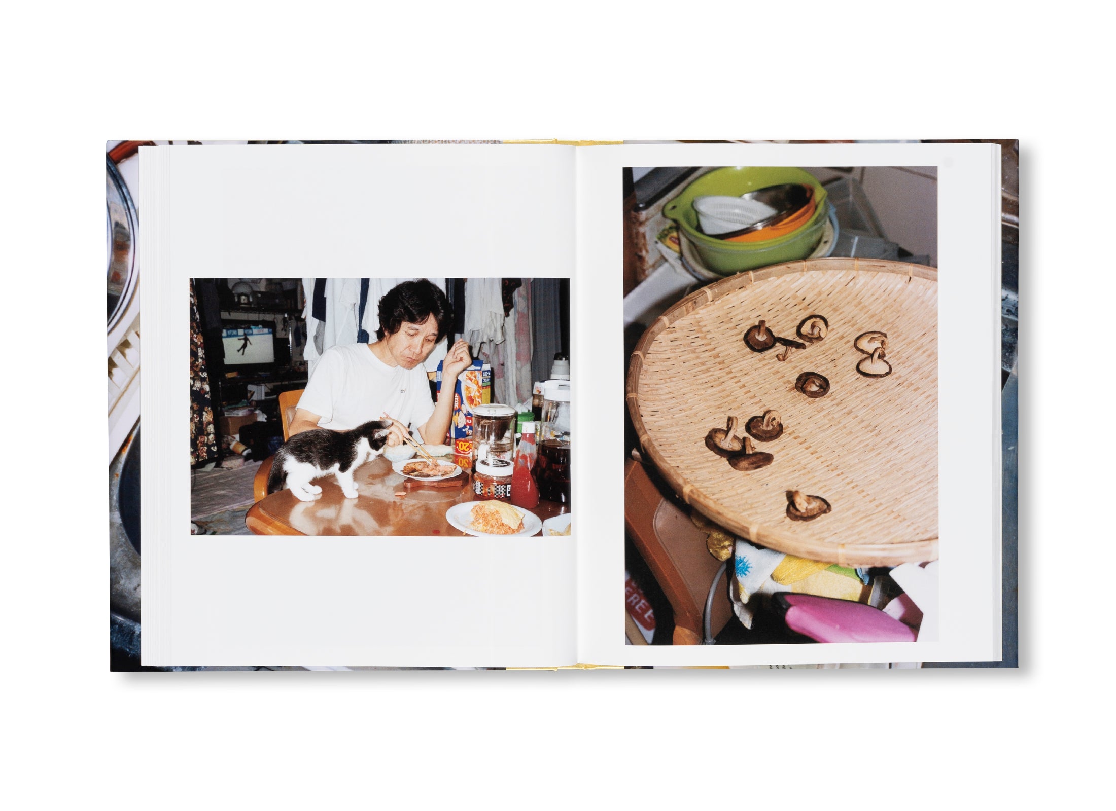 Signed Book: MY FAMILY IS A PUBIS SO I COVER THEM IN PRETTY PANTIES by Motoyuki Daifu - Photography Art Book for Collectors & Contemporary Art Lovers