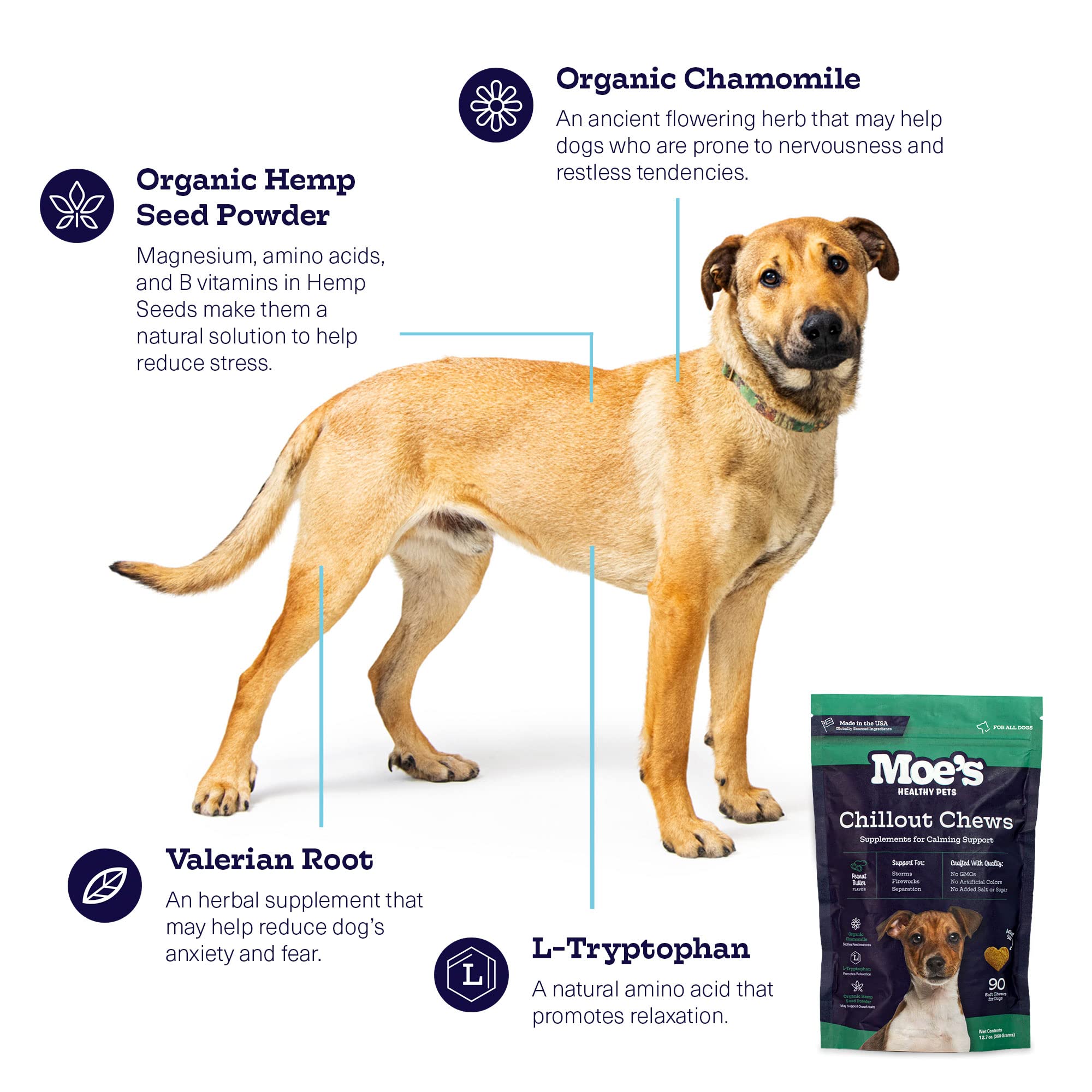 Moe’s Hemp Calming Chews for Dogs - Natural Stress & Anxiety Relief with Tryptophan & Chamomile - Helps with Storms, Fireworks, Travel, Separation Anxiety - Made in USA - Peanut Butter Flavor - Perfect for Nervous, Hyperactive, or Anxious Dogs During Vet Visits, Grooming, or Thunderstorms