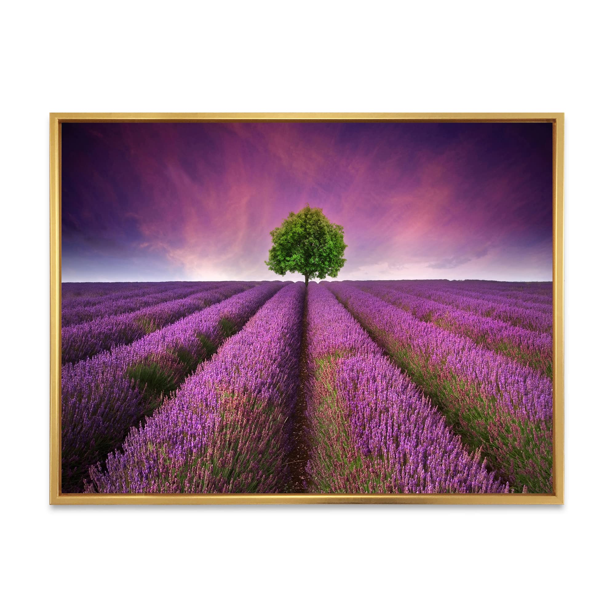 DesignQ Stunning Lavender Field Summer Sunset With Tree - Farmhouse Framed Canvas Wall Art Print for Living Room, Bedroom & Office Decor