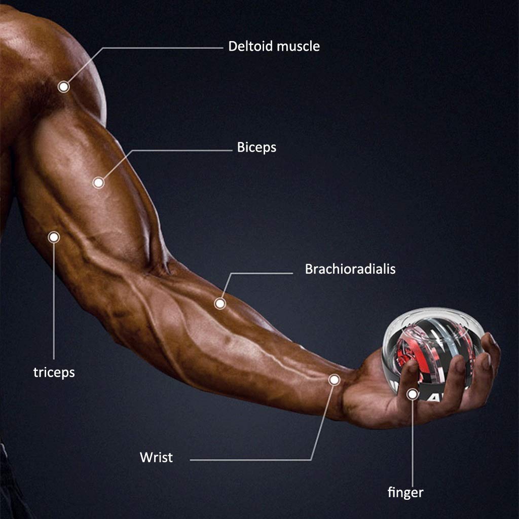 Gyroscopic Wrist Exercise Ball - Self Starting Gyro Ball for Arm Muscle Training, Strength Building & Stress Relief - Home Gym Workout Equipment (Style 2) - Perfect for Office Stress Relief, Physical Therapy & Fitness Enthusiasts
