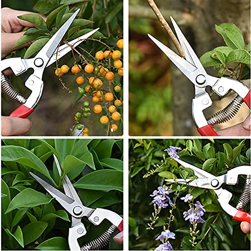 Premium Garden Shears - Professional Pruning Shears for Plants, Flowers & Grape Picking | Heavy Duty Gardening Shears with Comfort Grip | Perfect for Home Garden, Landscaping & Vineyard Use