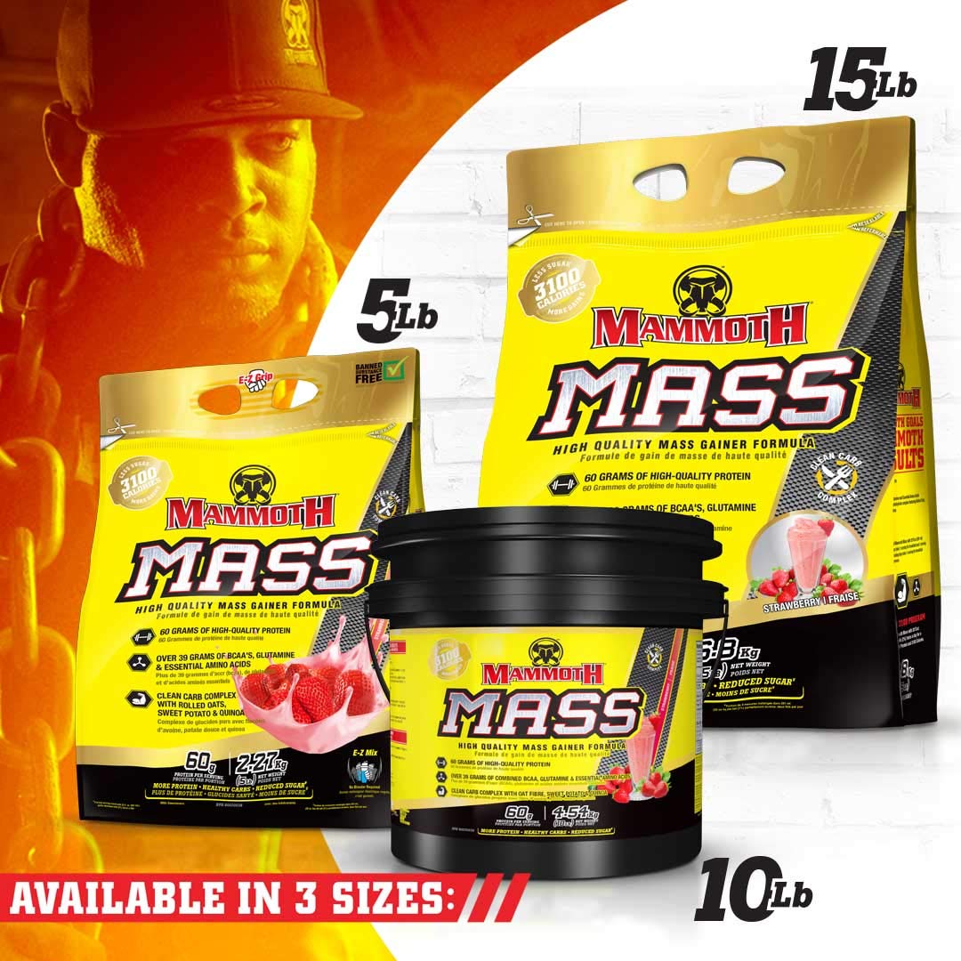 Mammoth Mass Weight Gainer Protein Powder - High Calorie Muscle Building Shake with Whey Isolate & Casein Blend, Low Sugar Meal Replacement for Bodybuilding & Workout Recovery (Strawberry Flavor, 5lb) - Perfect for Post-Workout Smoothies, Muscle Growth Nutrition & Healthy Weight Gain