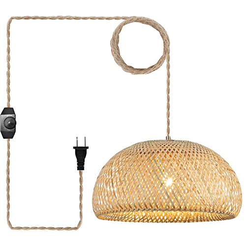 Large Plug in Pendant