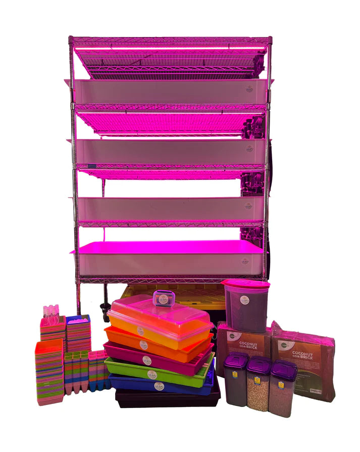 School Hydroponics Grow Rack - Complete Hydroponic System for Classroom STEM Education | Indoor Gardening Setup for Students