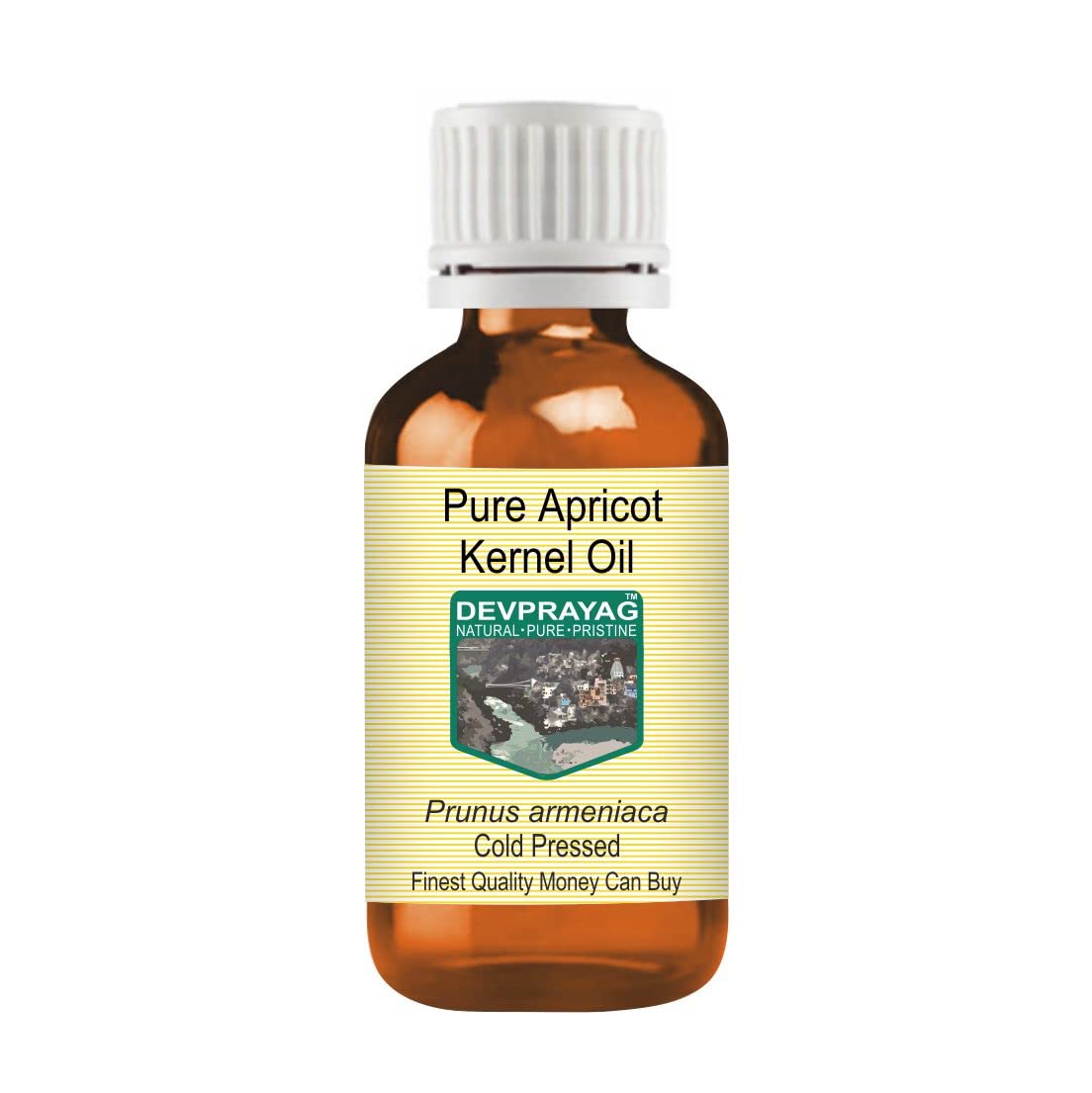 Organic Cold-Pressed Apricot Kernel Oil (Prunus Armeniaca) - 100% Pure, Natural & Therapeutic Grade - 10ml Bottle for Skin Care, Hair Growth & Aromatherapy