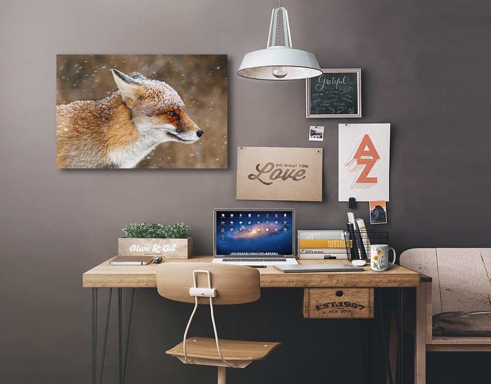 Lantern Press Red Fox in Snow Wall Art - 16x24 Wrapped Canvas Print, Winter Wildlife Decor for Living Room, Bedroom & Office