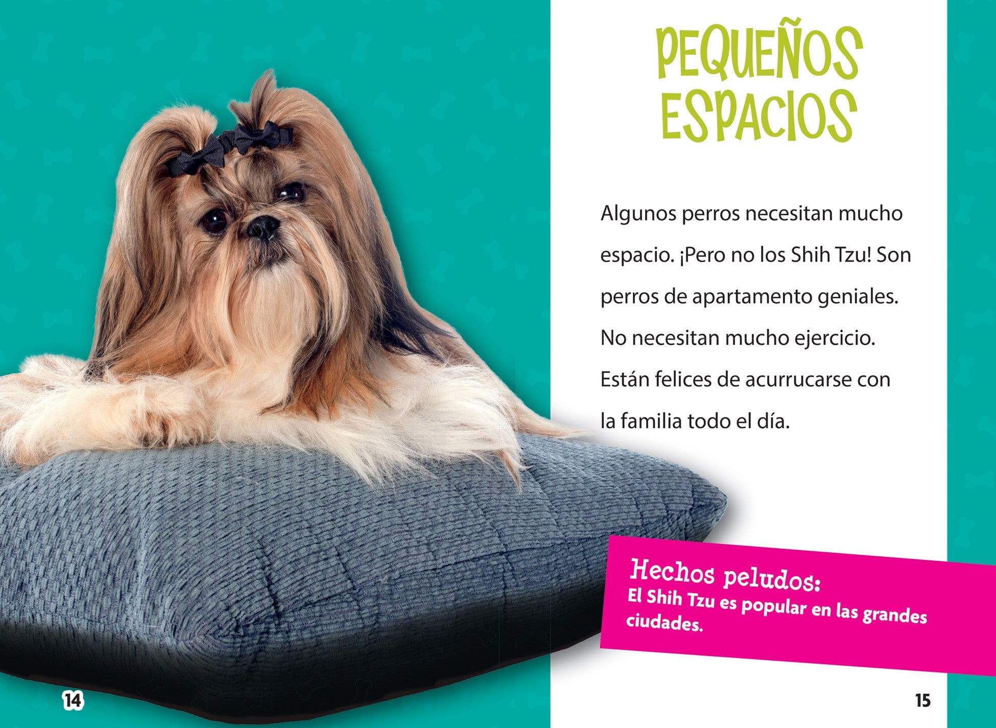 Shih Tzu Dog Supplies & Accessories - Grooming, Toys, Beds & More for Your Pet | Perfect for Home, Travel & Outdoor Adventures