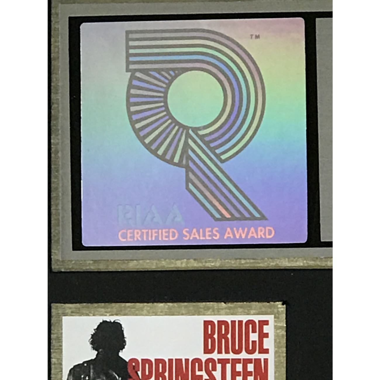 Bruce Springsteen Greatest Hits 2x Multi Platinum Album Award - RIAA Certified - Perfect for Music Collectors & Fans, Home Decor, Office Display