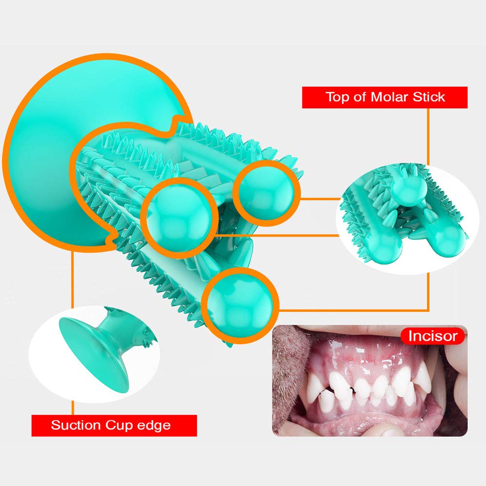 CEESC Dog Toothbrush Chew Toy for Teeth Cleaning - Dental Oral Care Chew Stick for Small, Medium & Large Dogs (Blue) | Puppy Teeth Brushing Toy for Fresh Breath & Healthy Gums