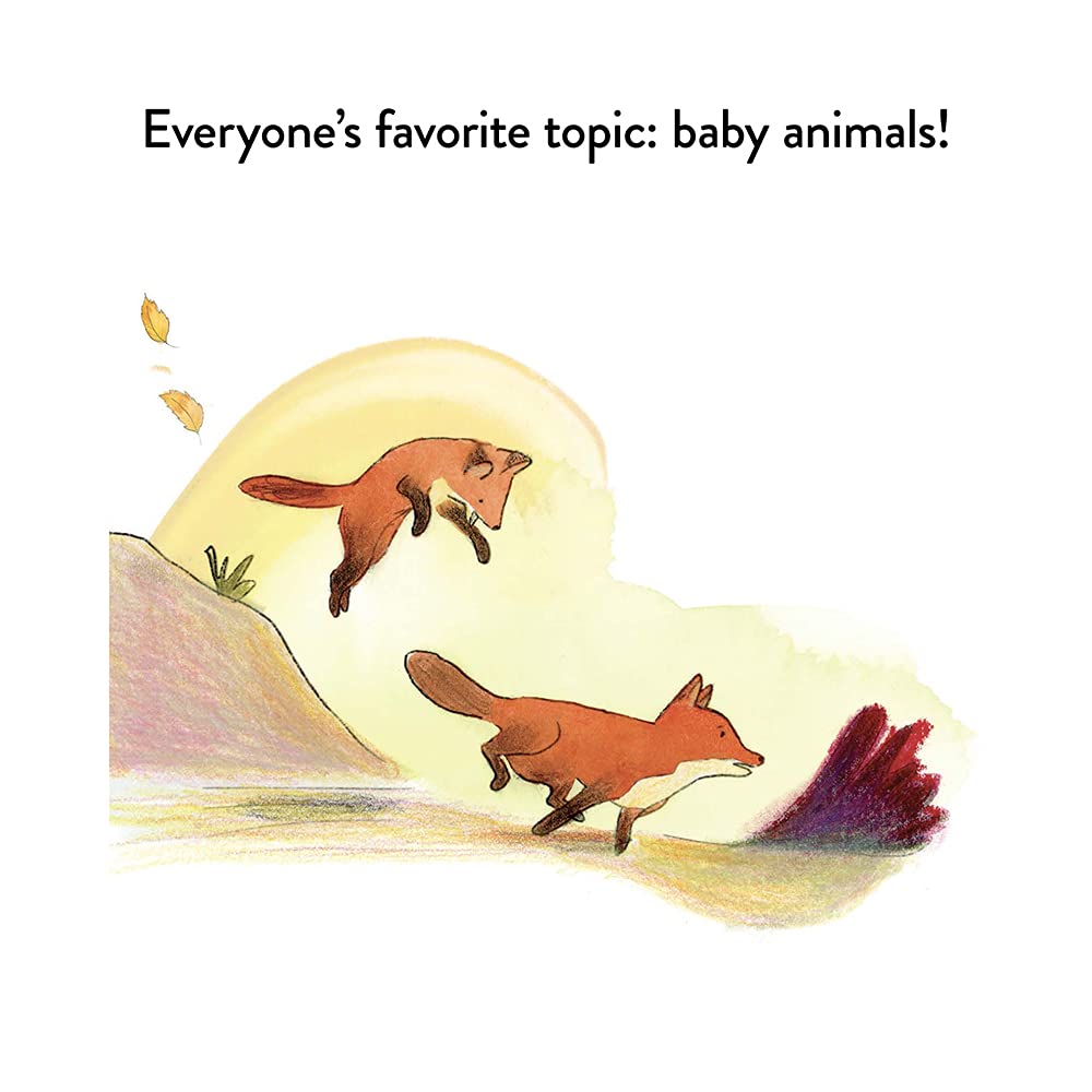 A Kit Story (An Animal Story) – Heartwarming Children's Book for Bedtime Reading & Early Learning | Perfect Gift for Kids, Toddlers, and Animal Lovers