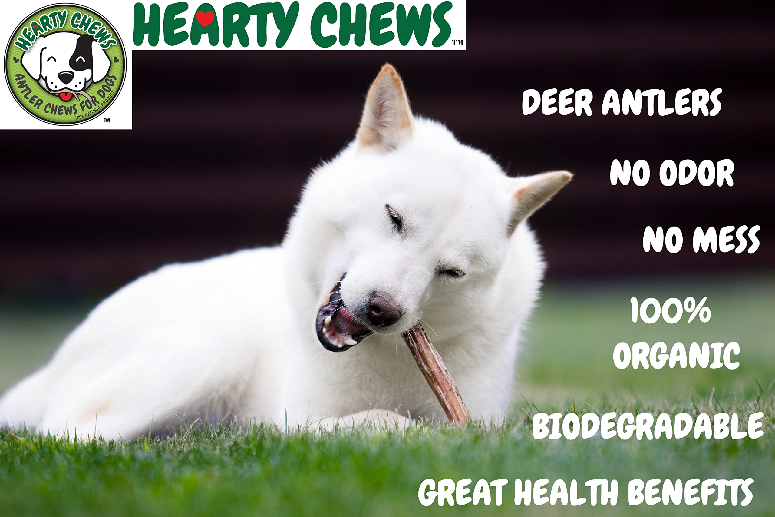 Premium 100% Organic Grade A Deer Antler Chews for Dogs - Natural Long-Lasting Dog Treat Supports Teeth & Gum Health | Large 6-8 Inch Edible Puppy Toy for Aggressive Chewers | Perfect for Training, Teething & Dental Care