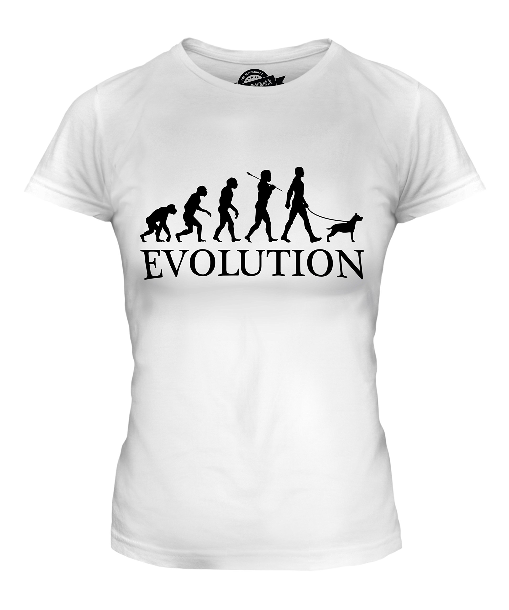 Women's Staffordshire Terrier Evolution of Man Graphic Fitted T-Shirt - Cute Dog Lover Tee for Casual Wear & Gifts