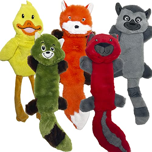 5 Pack - Color 2 - Squeaky