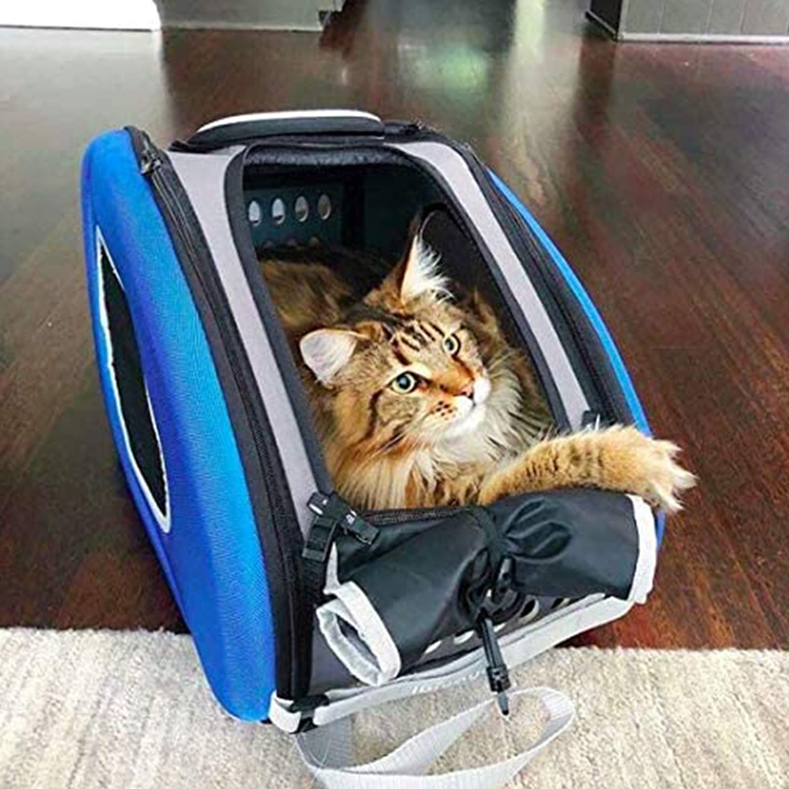 4 in 1 Pet Carrier Backpack & Car Seat for Dogs & Cats - Wheeled Travel Carrier with Easy Assembly - Perfect for Airplane, Car, Hiking & Vet Visits