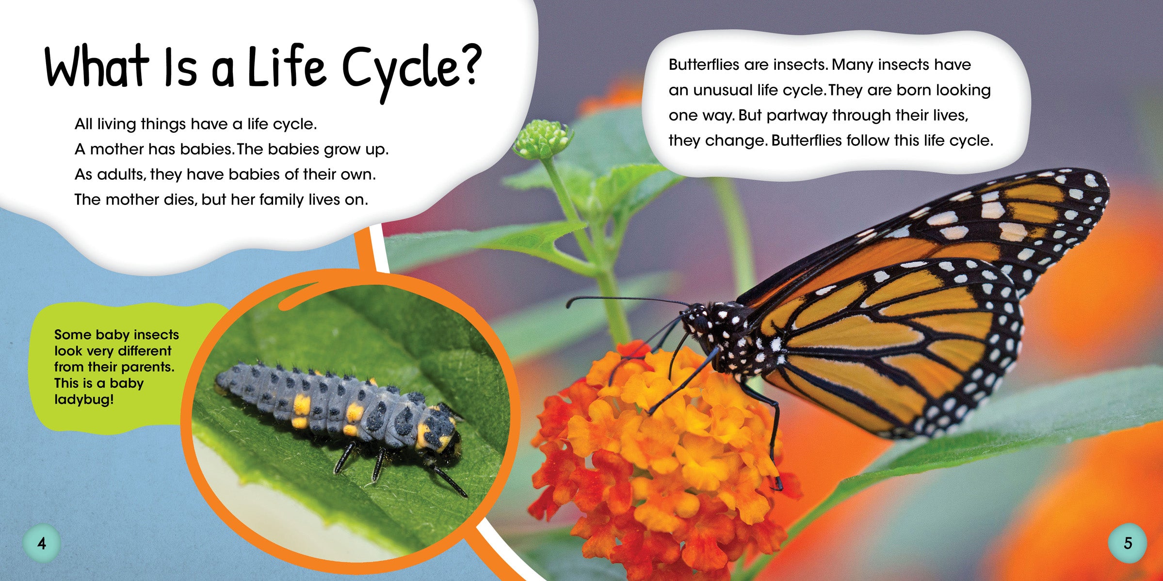 Butterfly Life Cycle Kit - Educational Science Toy for Kids - Perfect for Classroom, Homeschooling & Nature Exploration Activities