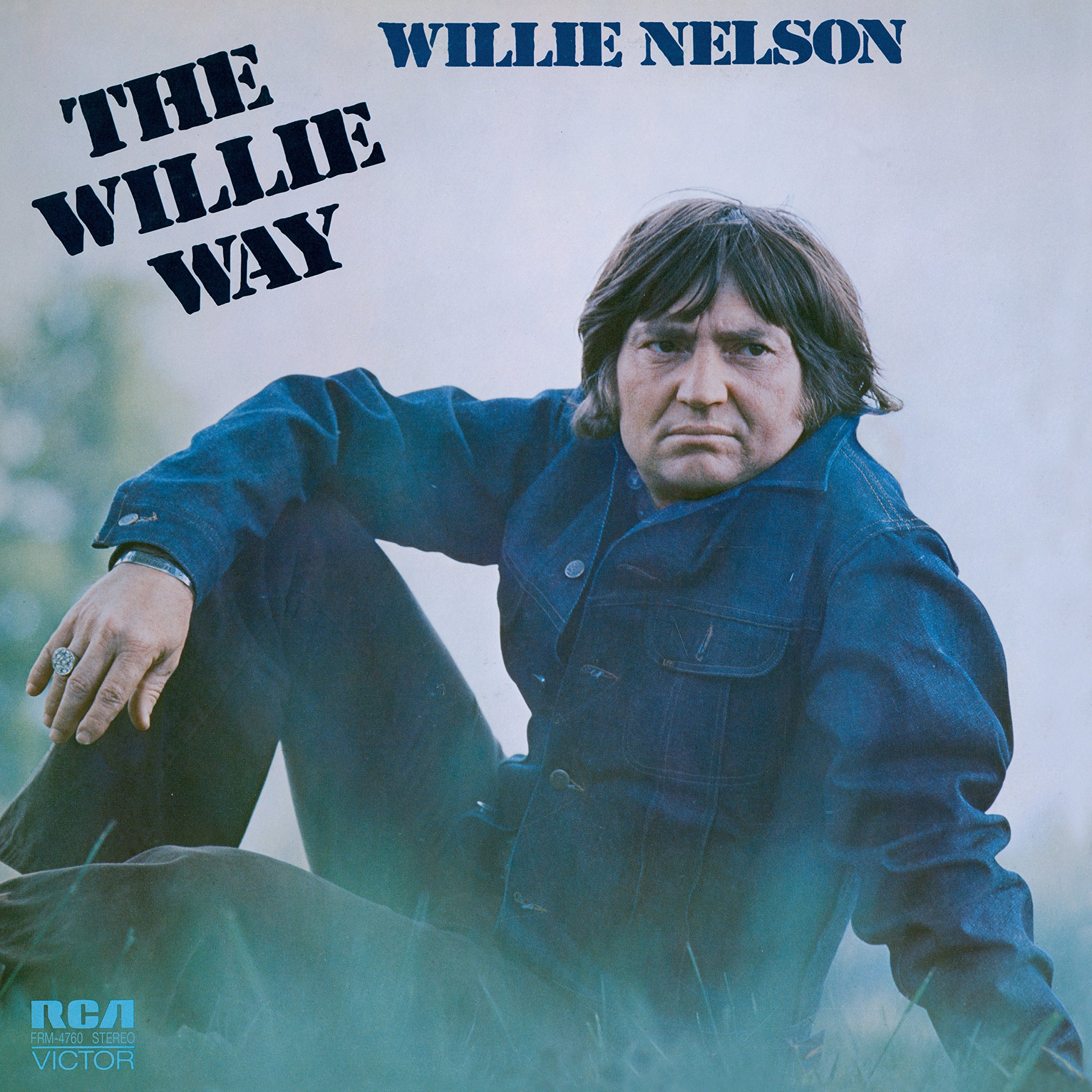 The Willie Way Audiophile Translucent Poster - High-Quality Music Room Decor for Vinyl Collectors & Audio Enthusiasts - Perfect for Home Studios, Listening Rooms & Music Lovers