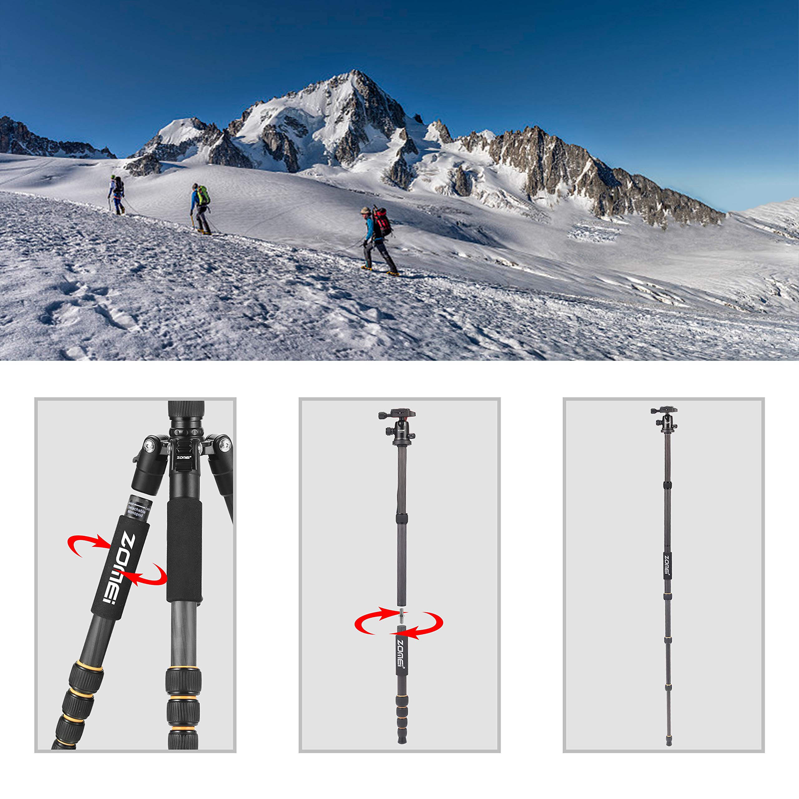 ZOMEI Q666C Carbon Fiber Tripod - Heavy Duty & Lightweight Travel Tripod with 360° Ball Head - Compact Camera Stand for Canon, Sony, Nikon DSLR - Perfect for Travel, Photography & Vlogging