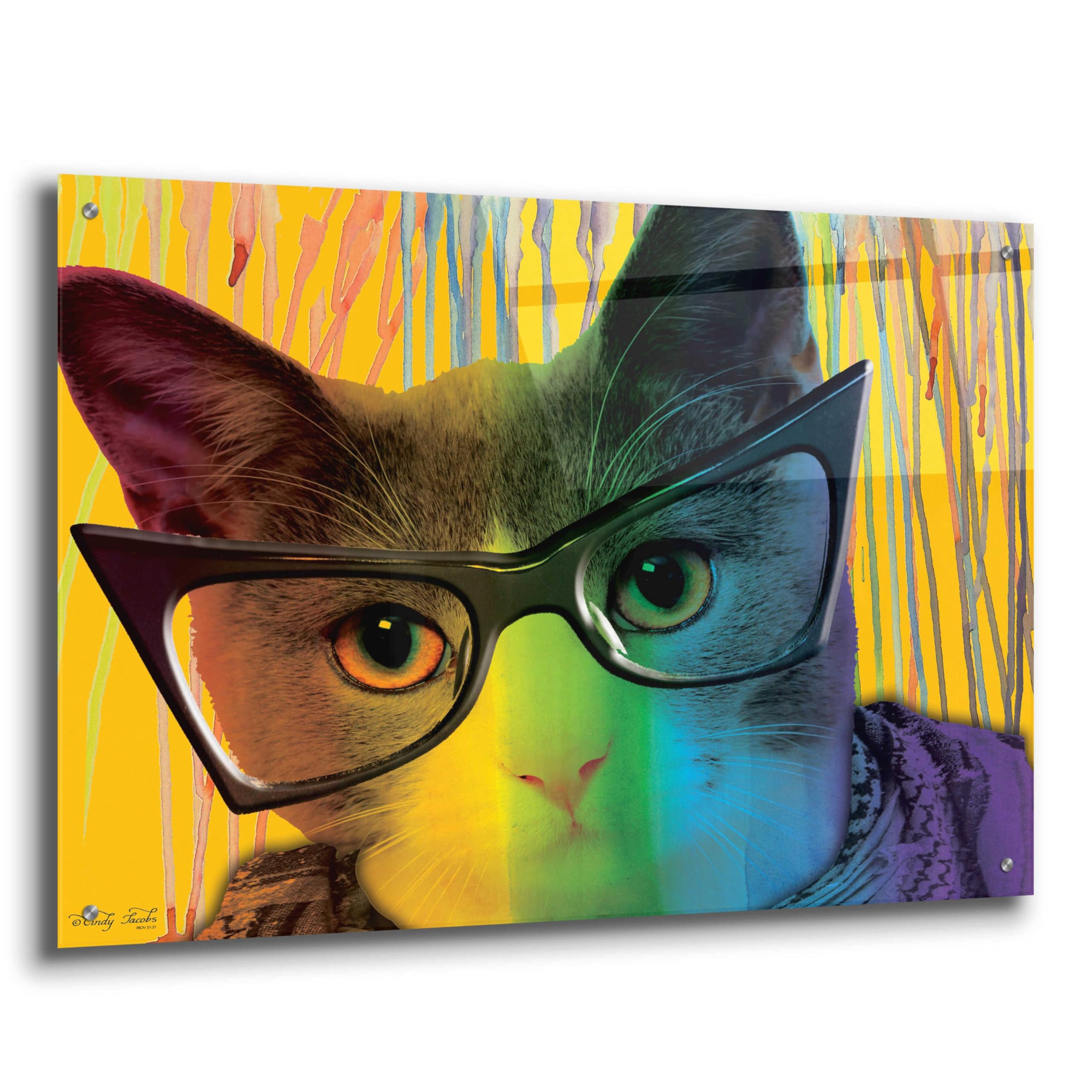 Epic 'Cat in Glasses' Acrylic Wall Art by Cindy Jacobs - 36x24 Inch Modern Home Decor - Perfect for Living Room, Bedroom & Office