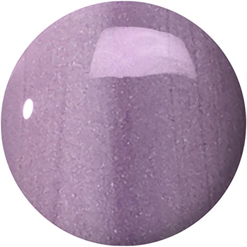 Purple Auction 976
