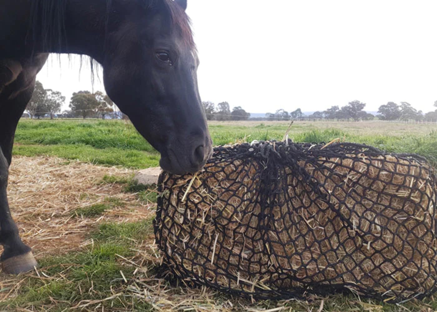 Large Knotless Slow Feed Hay Net 3/4