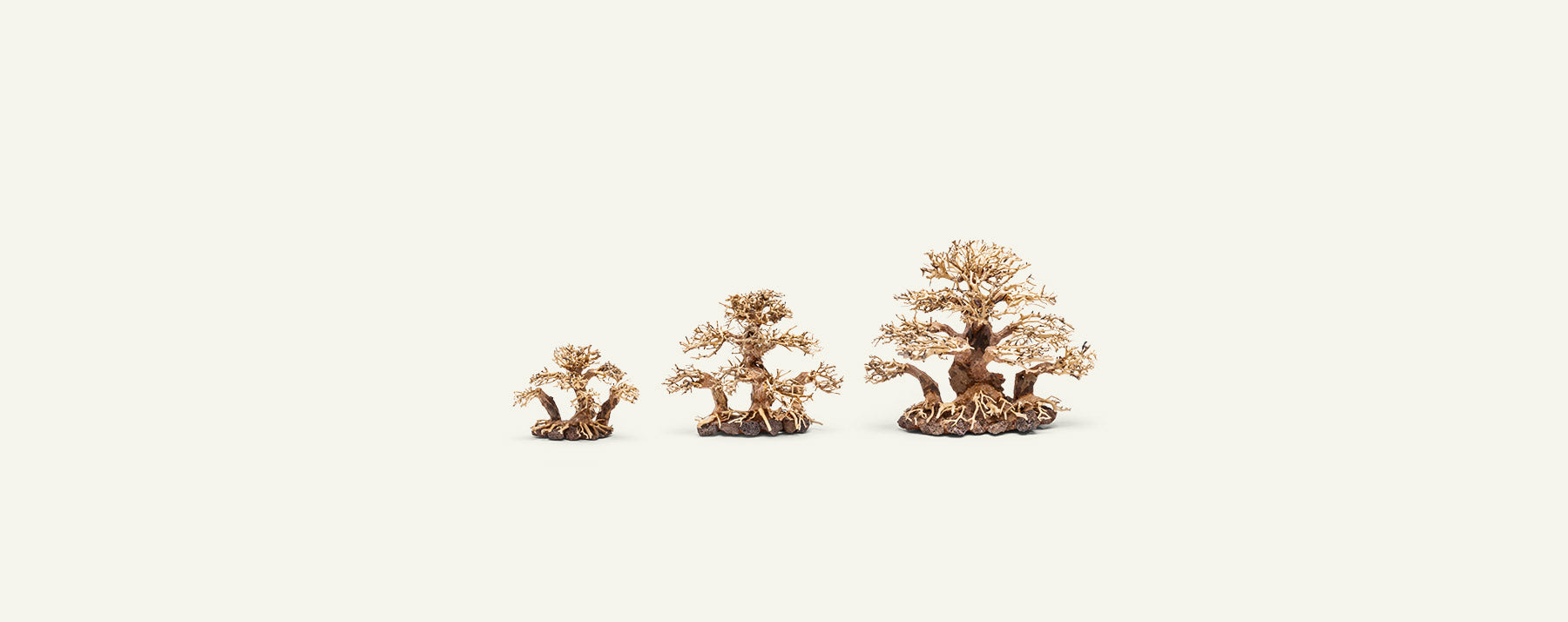 UNS Bonsai 004 - Premium Mini Bonsai Tree Kit for Home & Office Decor | Perfect Gift for Plant Lovers, Zen Garden Enthusiasts & Indoor Gardening