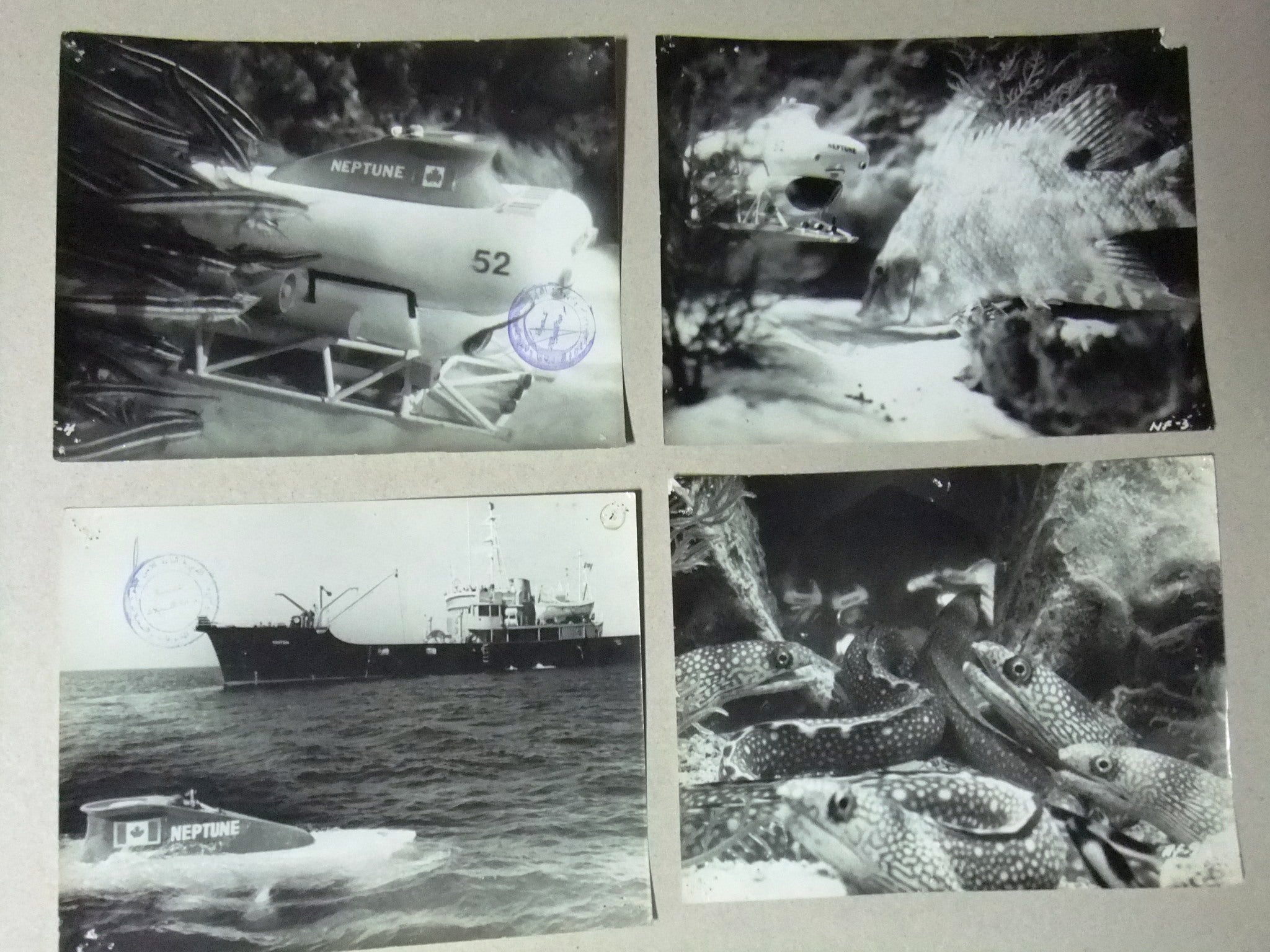 Vintage 1970s The Neptune Factor Movie Stills Photo Set (11 Pieces) - Ernest Borgnine Classic Film Memorabilia for Collectors & Movie Fans - Perfect for Home Theater Decor, Film History Displays & Gift Giving