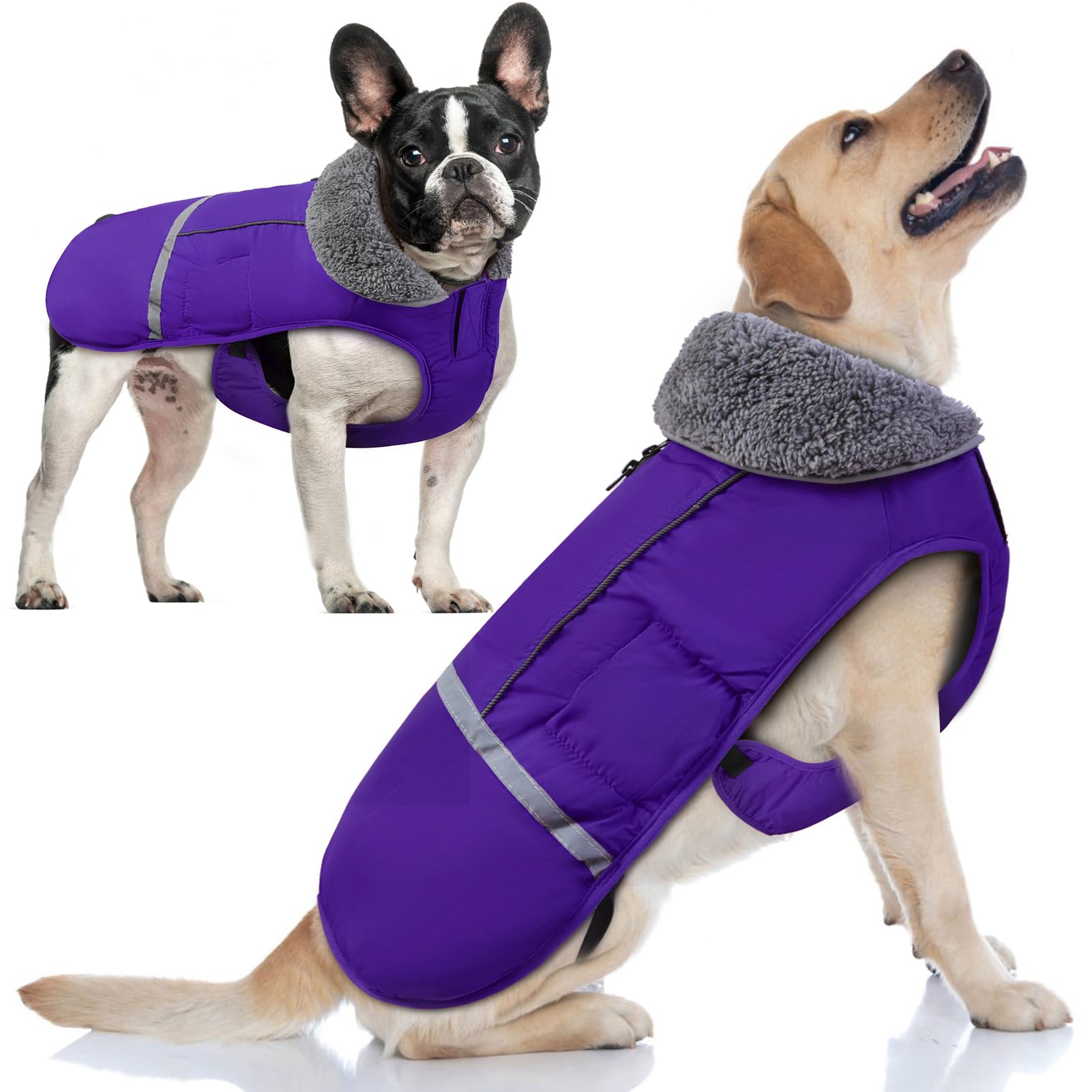 Doglay Waterproof Dog Winter Coat - Thick Furry Collar, Reflective & Warm Fleece Lining - Cold Weather Jacket for Small, Medium & Large Dogs - Ideal for Snowy Walks & Outdoor Adventures