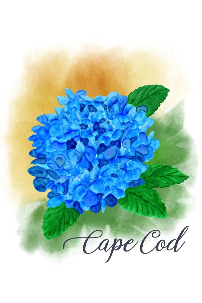 Cape Cod Massachusetts Hydrangea Watercolor Print - 16x24 Gallery Quality Metal Wall Art, Aluminum Home Decor for Living Room, Bedroom & Office