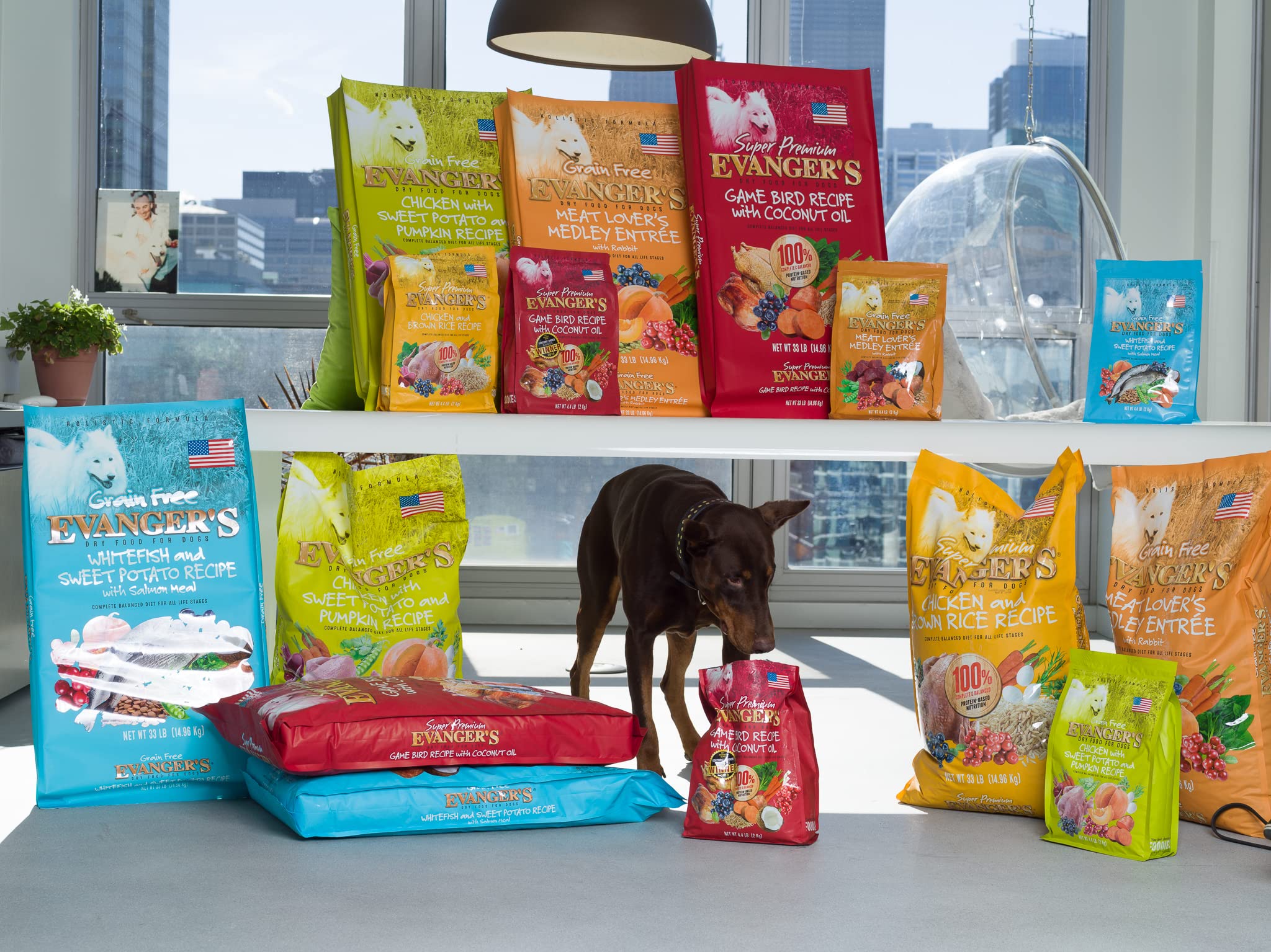Evanger's Super Premium Gamebird Recipe with Coconut Oil Dry Dog Food - 33 lb Bag | High Protein Grain-Free Kibble for Active & Senior Dogs | Perfect for Training, Weight Management & Sensitive Stomachs