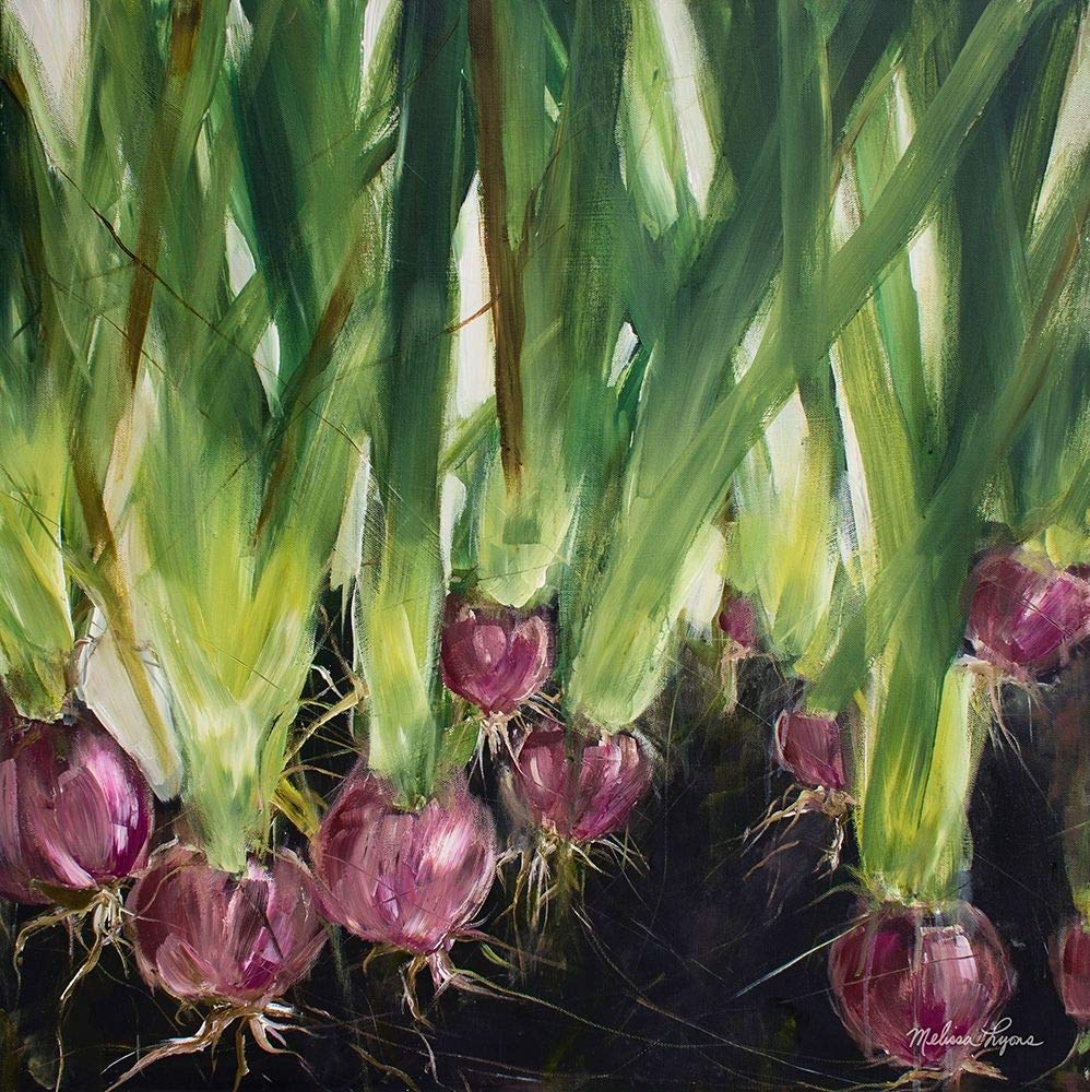 Melissa Lyons Red Onions 16x16 Art Print Poster - Vibrant Kitchen Decor & Wall Art for Dining Room, Restaurant, or Home Decor