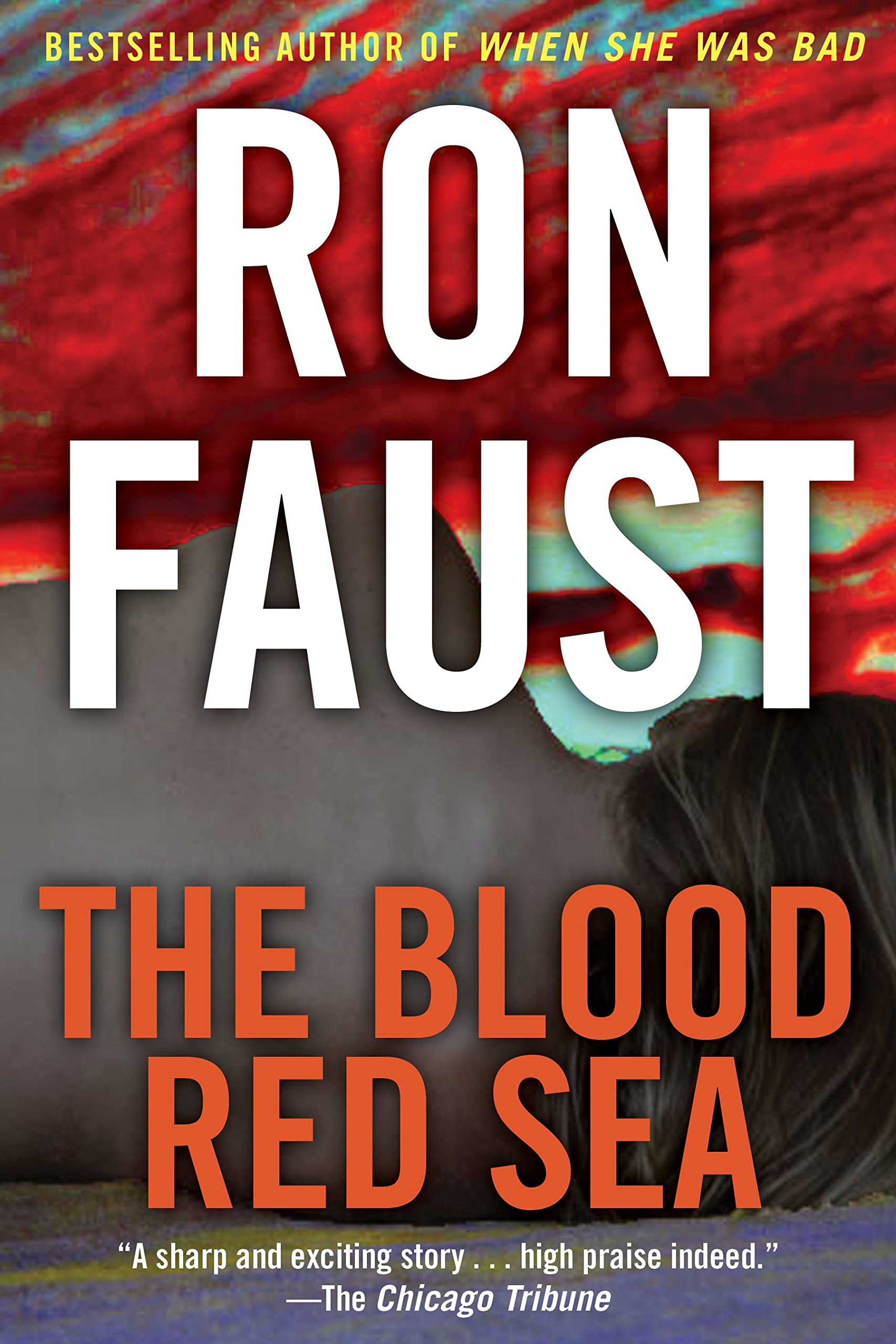 The Blood Red Sea (Dan Shaw Thrillers) - Suspenseful Crime Novel for Mystery Lovers | Perfect for Beach Reading & Book Club Discussions