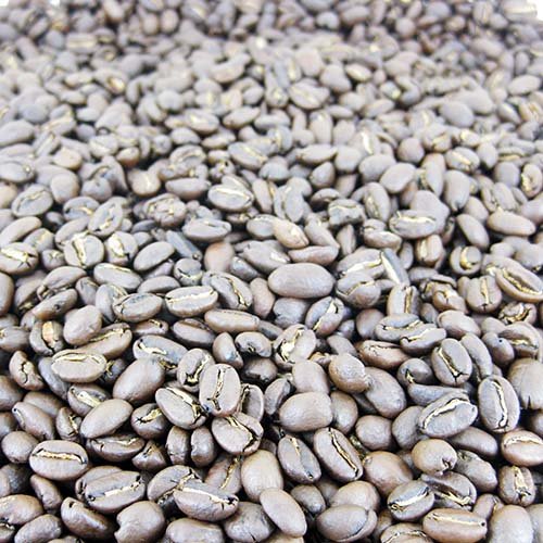 Premium Sulawesi Toraja Arabica Coffee Beans - Fresh Roasted Gourmet Grade, 5lb Bag - Single Origin Indonesian Coffee for Home Brewing, Office & Gifting