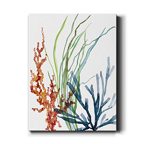 Ocean Garden (1)