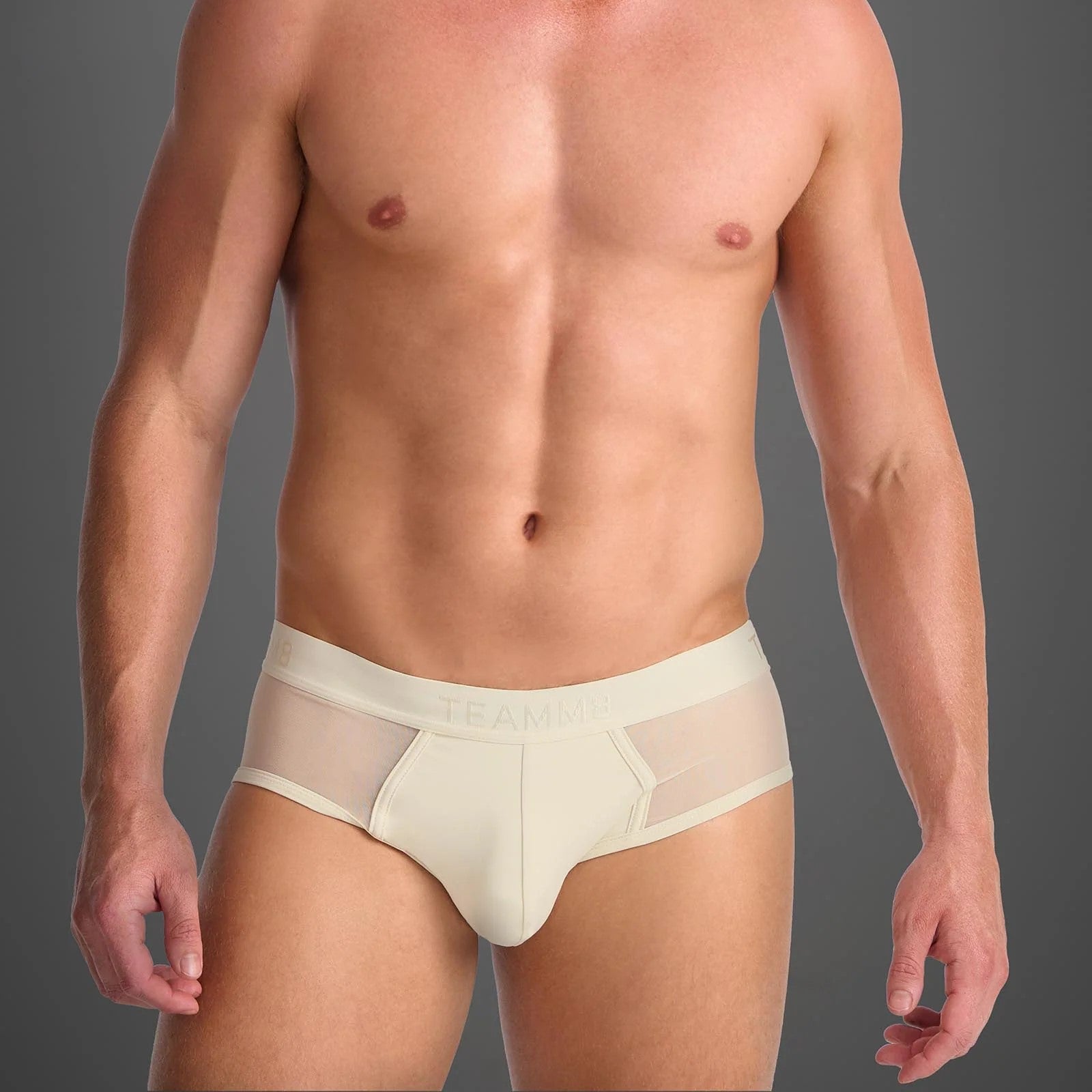 Teamm8 Score Sheer Brief Mesh Underwear for Women - Comfortable & Breathable Lingerie - Perfect for Everyday Wear, Sports & Intimate Moments