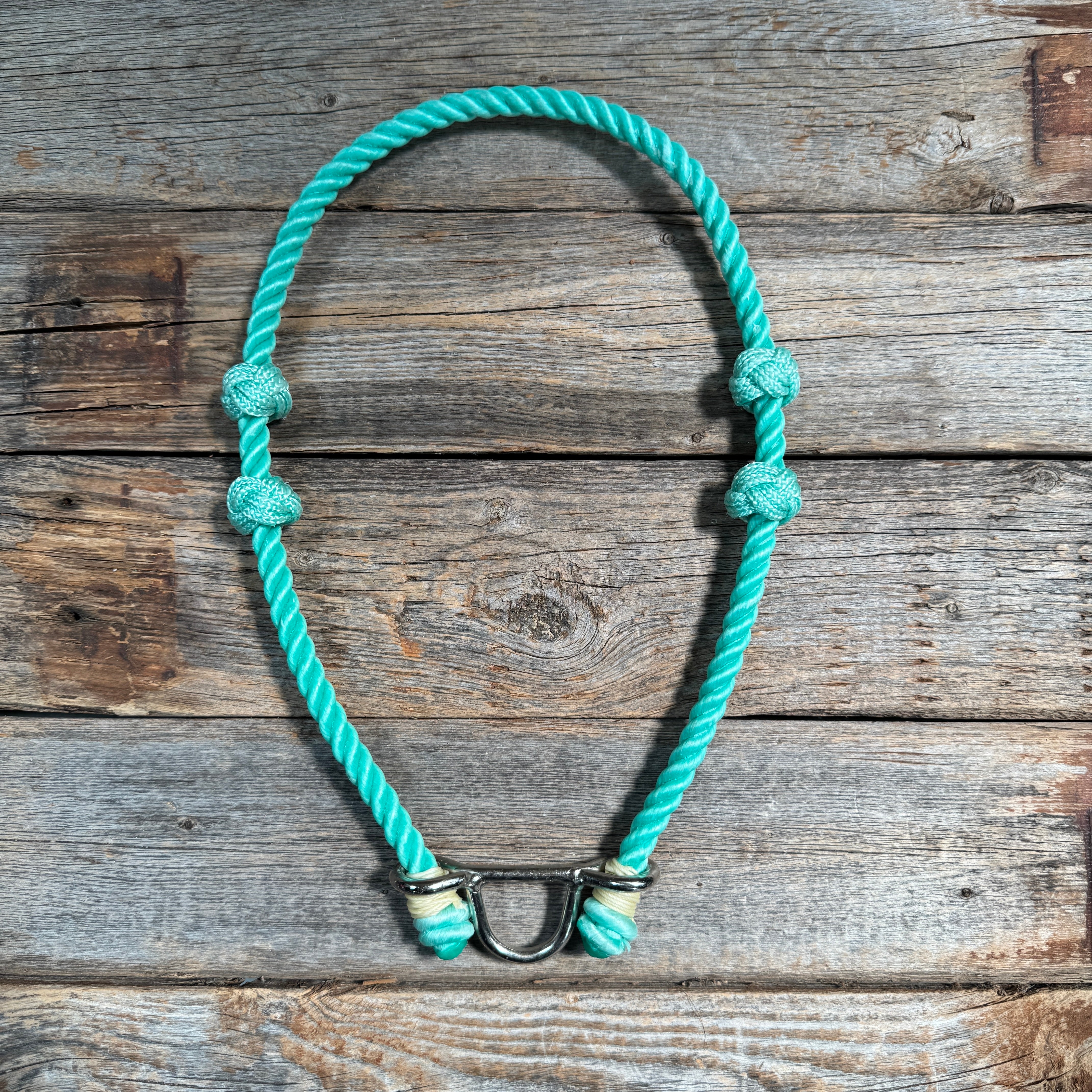 Premium Lariat Noseband for Horses - Multiple Color Options | Durable & Adjustable Equestrian Gear for Training & Show Jumping