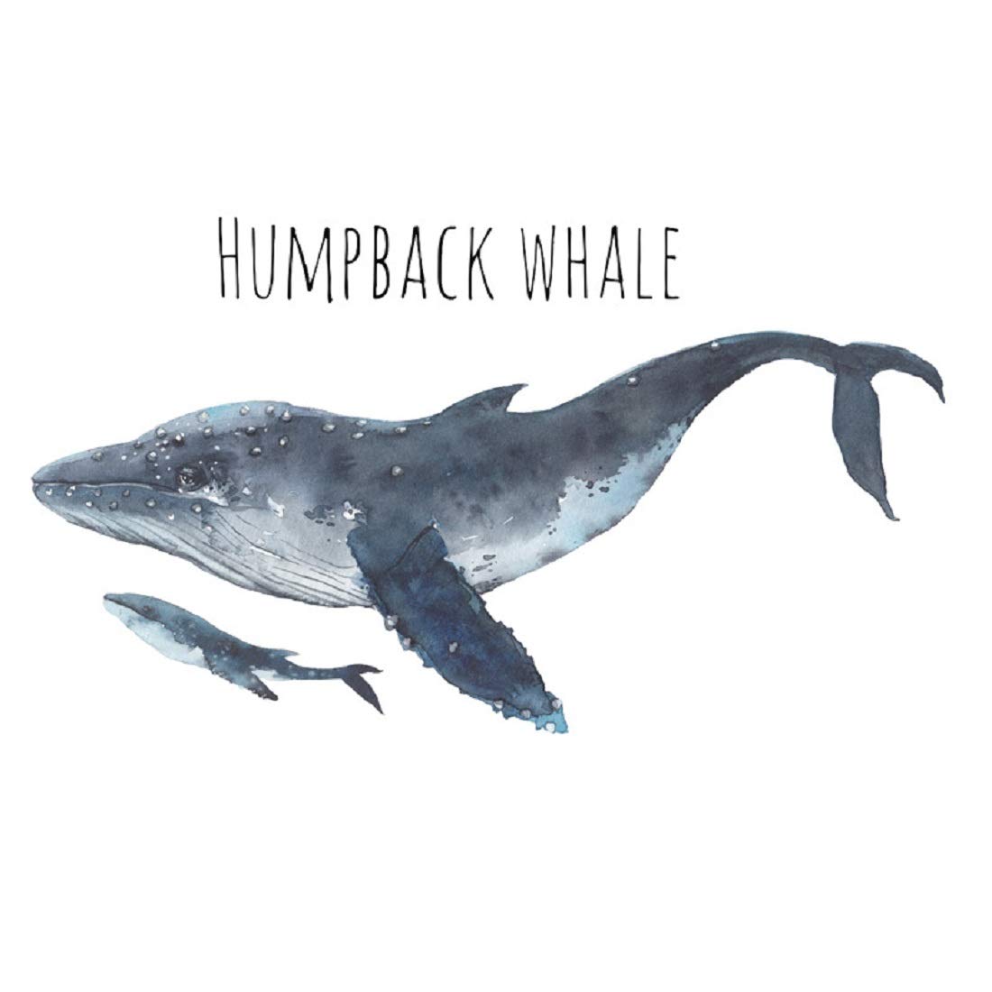 Humpback Whale Wall Decals - Marine Animal Stickers, Peel and Stick Art Mural Decor for Home, Office, Dorm, Party & Nursery - Perfect for Kids' Rooms, Ocean-Themed Decor & DIY Wall Art Projects