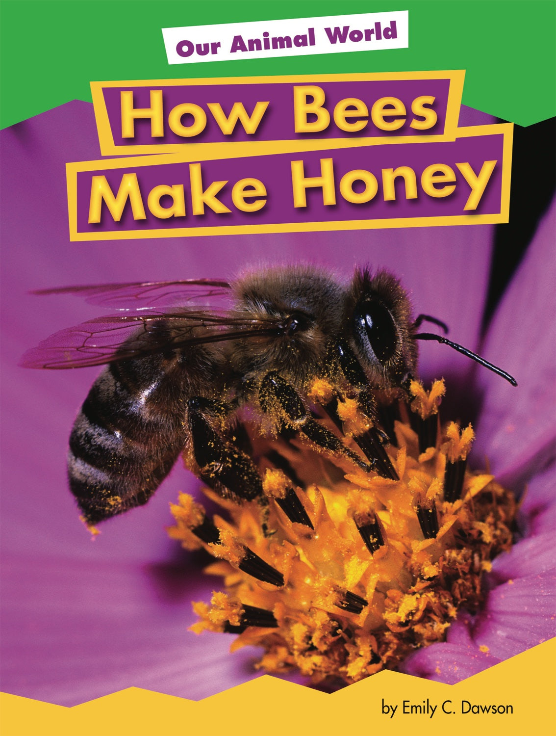 How Bees Make Honey - The Fascinating Process of Honey Production | Perfect for Nature Lovers & Beekeeping Enthusiasts
