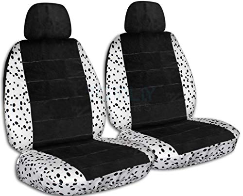 Dalmatian & Black