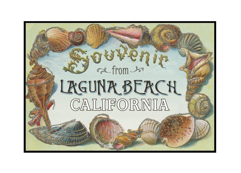 Laguna Beach California Shells Souvenir - 36x24 Inch Framed Gallery Wrapped Canvas Wall Art - Perfect for Beach House Decor, Coastal Living Room, or Vacation Home Wall Decor