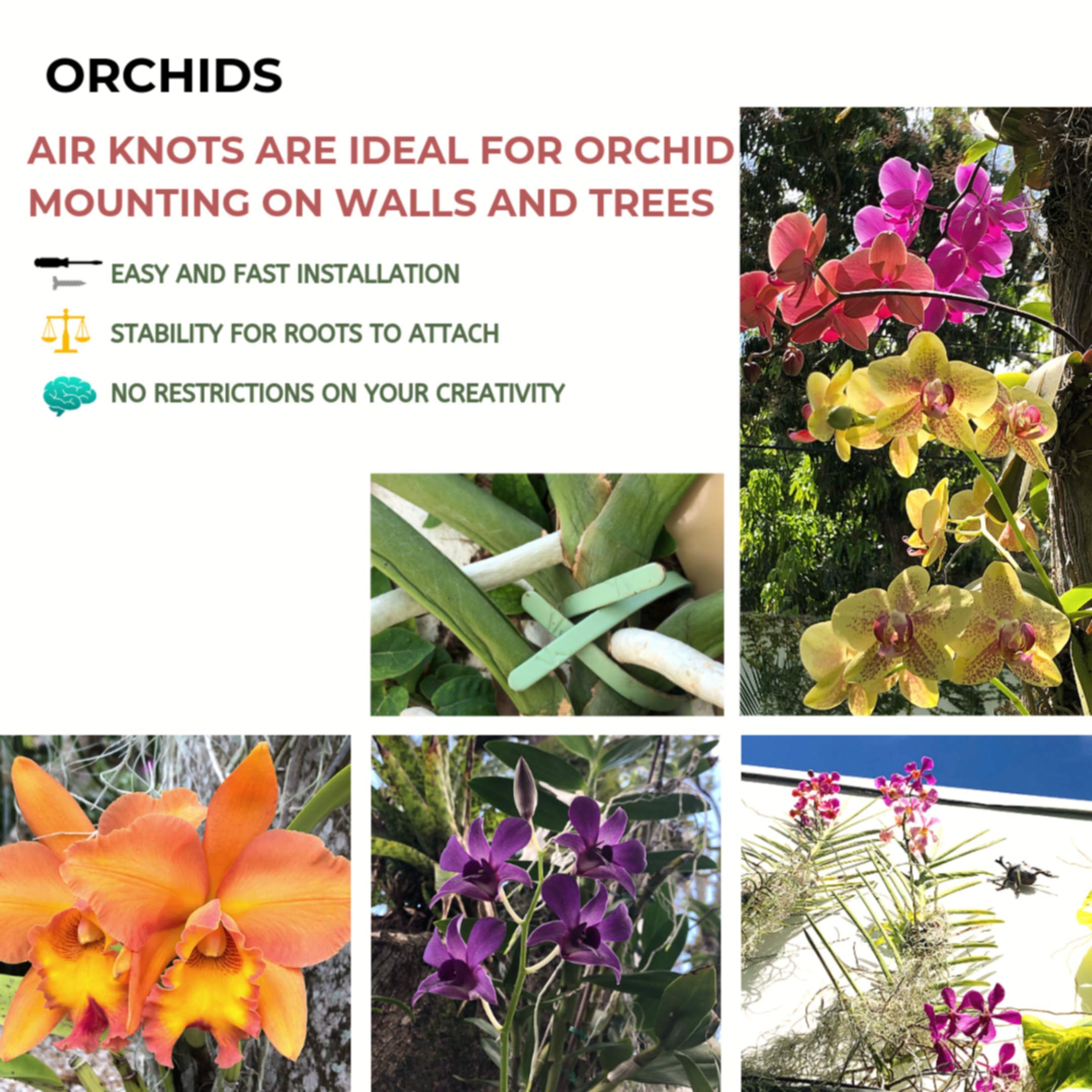 ArtAK Wall Planter Set of 5 - Modern Air Plant Holder & Orchid Mount with Rustic Plant Hooks | Perfect for Indoor Vertical Gardens, Home Decor, and Office Spaces