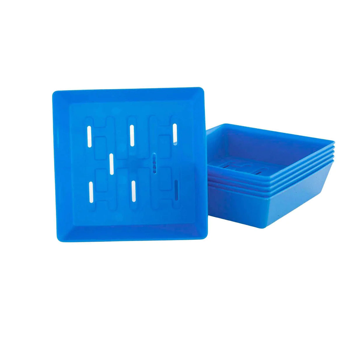 Bootstrap Farmer 5x5 Shallow Microgreen Trays - Durable Seed Starter Trays for Indoor Gardening, Hydroponics & Organic Farming - Perfect for Home Growers & Commercial Use