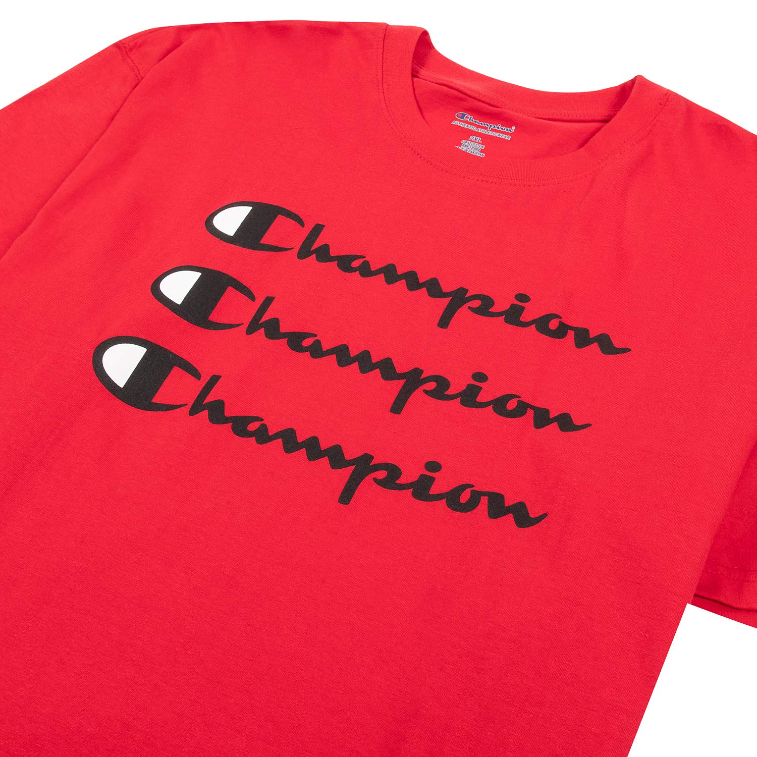 Champion Big and Tall Men's Graphic T-Shirts 2-Pack - Comfortable Plus Size Cotton Tees for Casual Wear & Gym