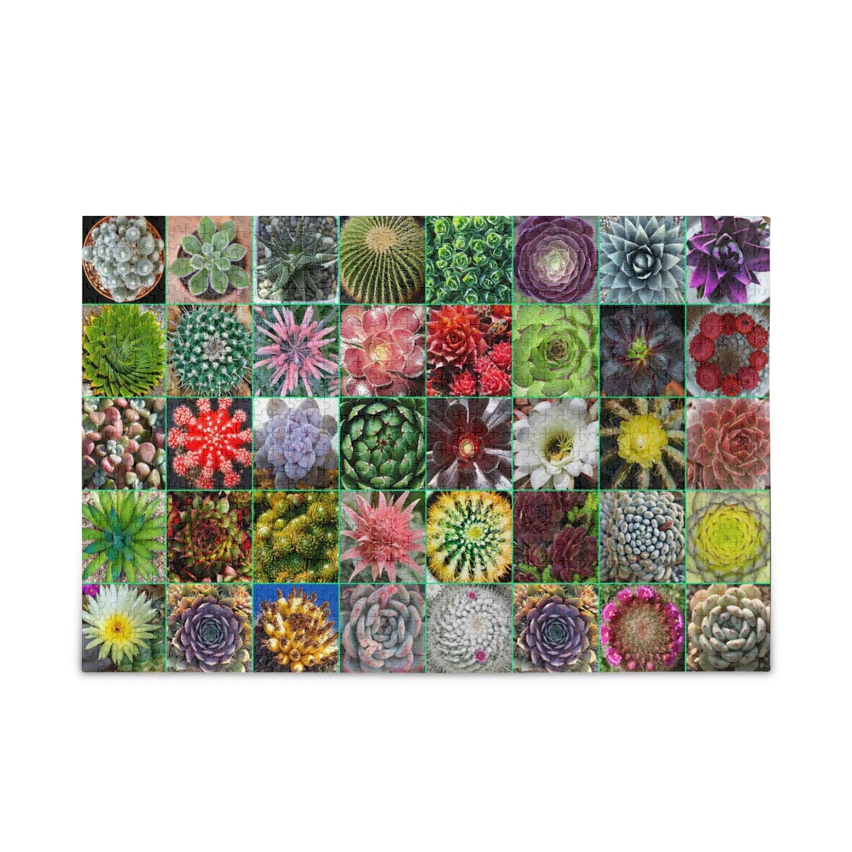 500-Piece Succulent Garden Jigsaw Puzzle for Adults & Kids - Desert Cactus Theme, Creative Brain Game, Perfect Gift for Plant Lovers & Puzzle Enthusiasts (Home Decor, Family Game Night, Relaxation Activity)