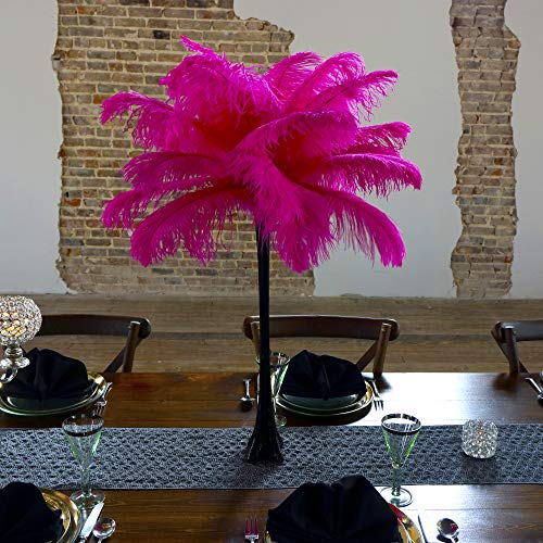 Black Vase/Shocking Pink Feathers